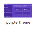 Selected theme
